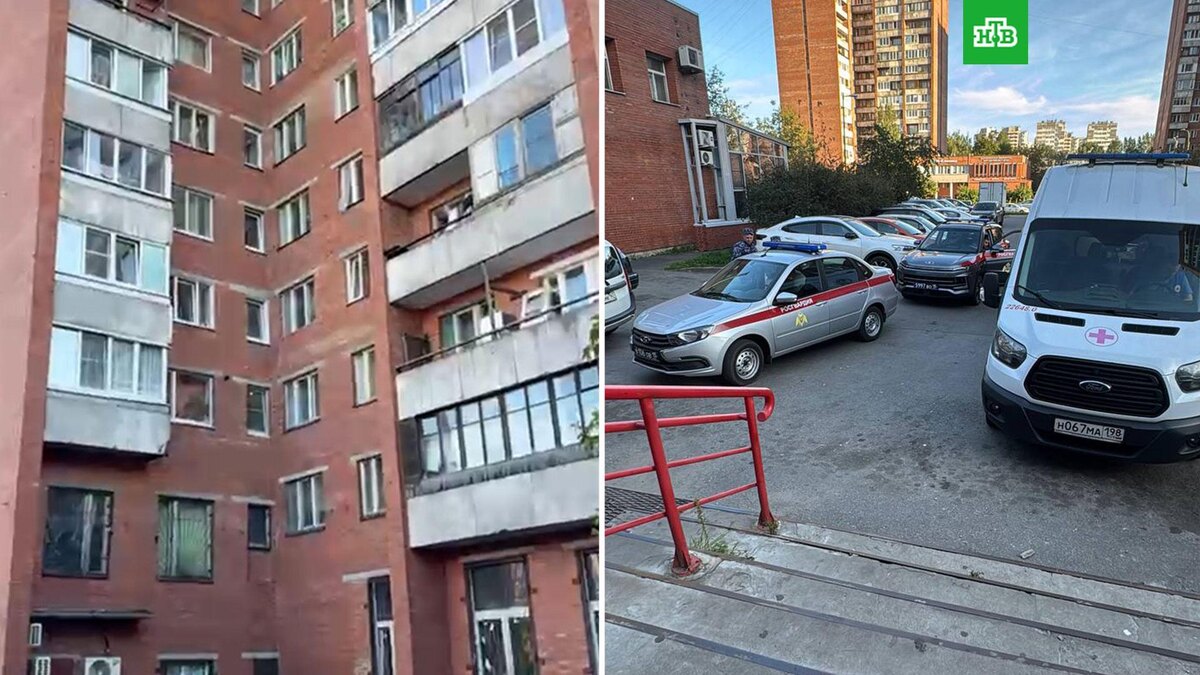    Фото: rjevka / t.me