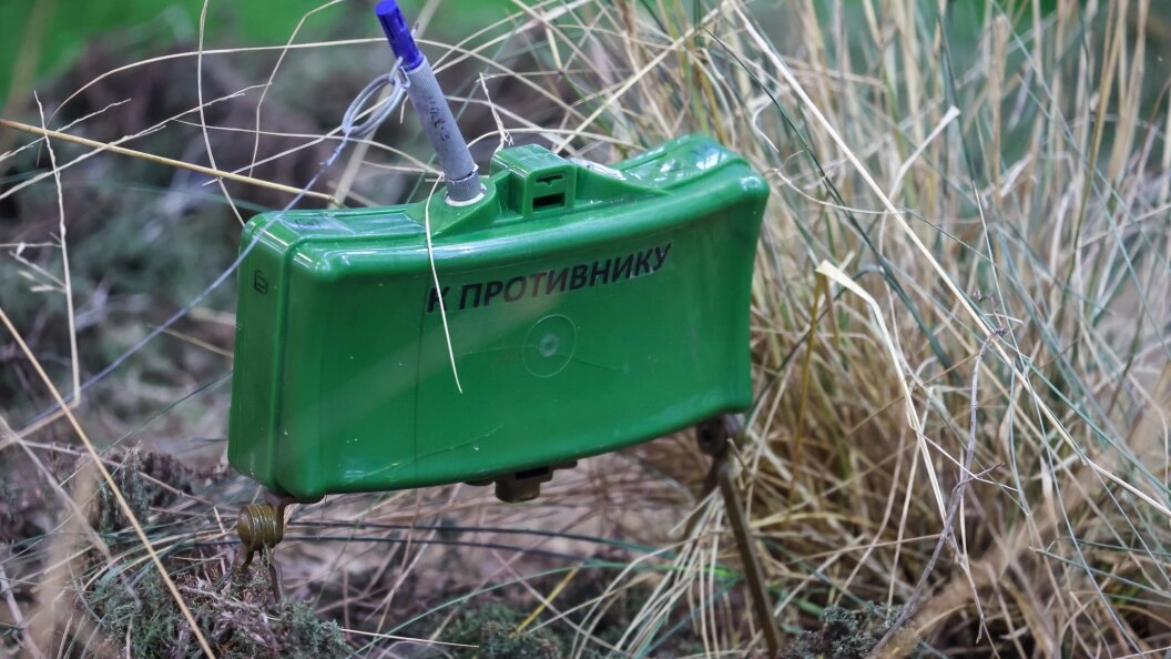    Фото: Belkin Alexey/Globallookpress