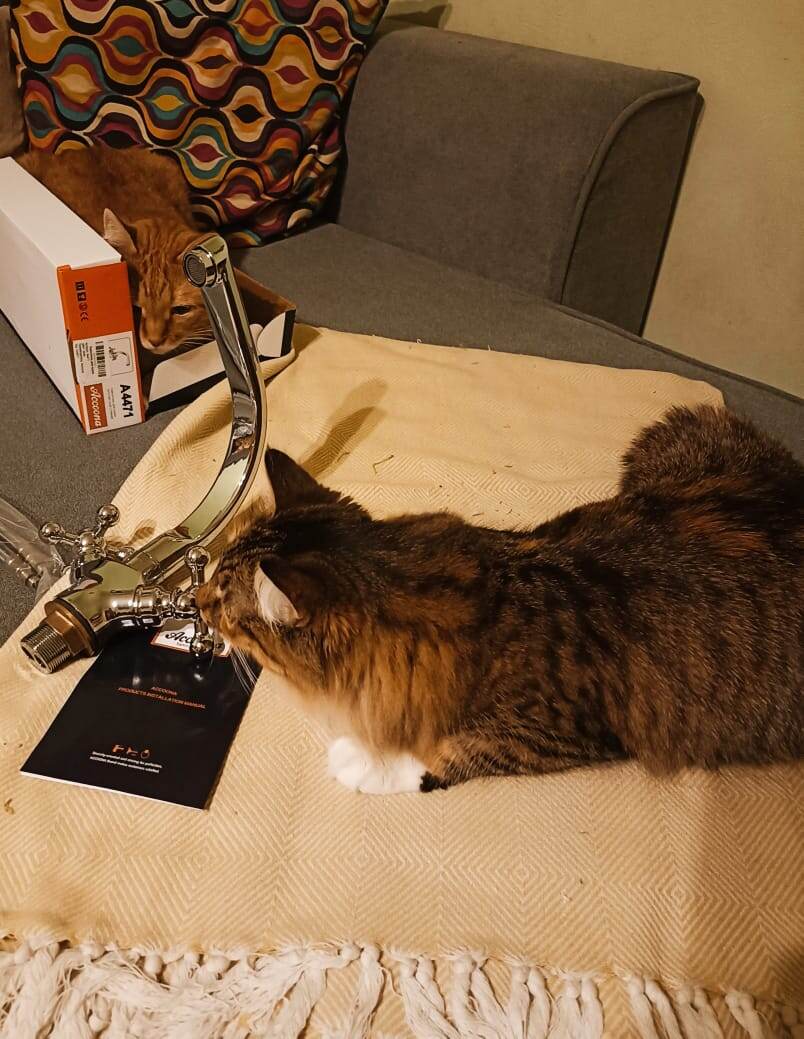 Ох, до чего же штука интересная! 