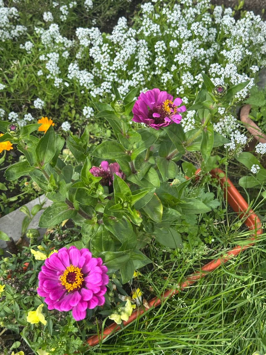 Фотография автора