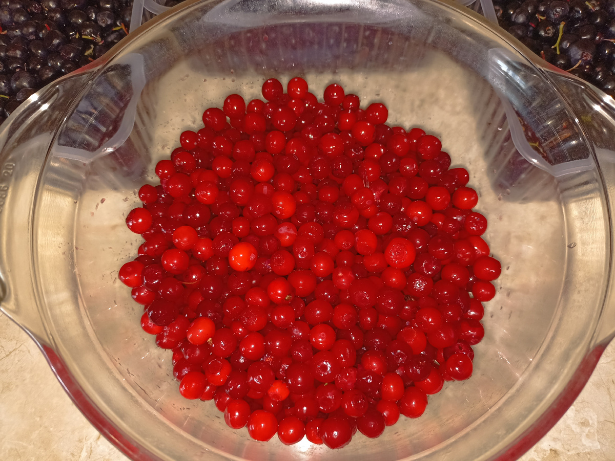 Клоповка (красника)