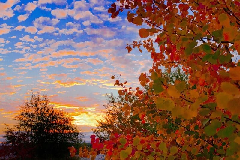 Изображение из открытых источников