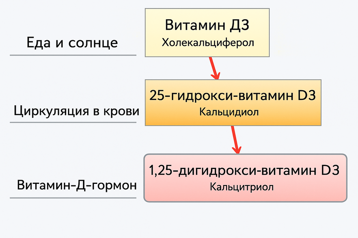 В анализах крови чаще смотрят 25­OH витамин D