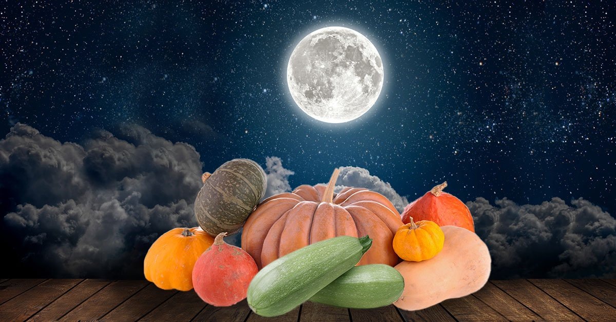 Фото из открытого источника в интернете.