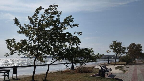    © РИА Новости Крым