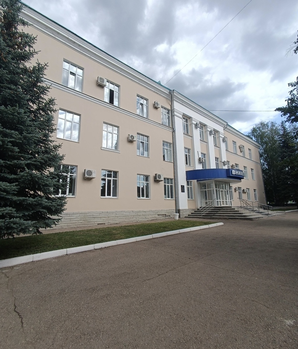 ВНИИГИС. 2ГИС