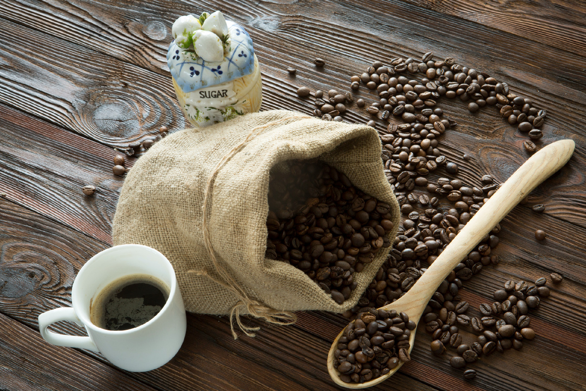 Фото: © Nikolay Gyngazov/ Global Look Press