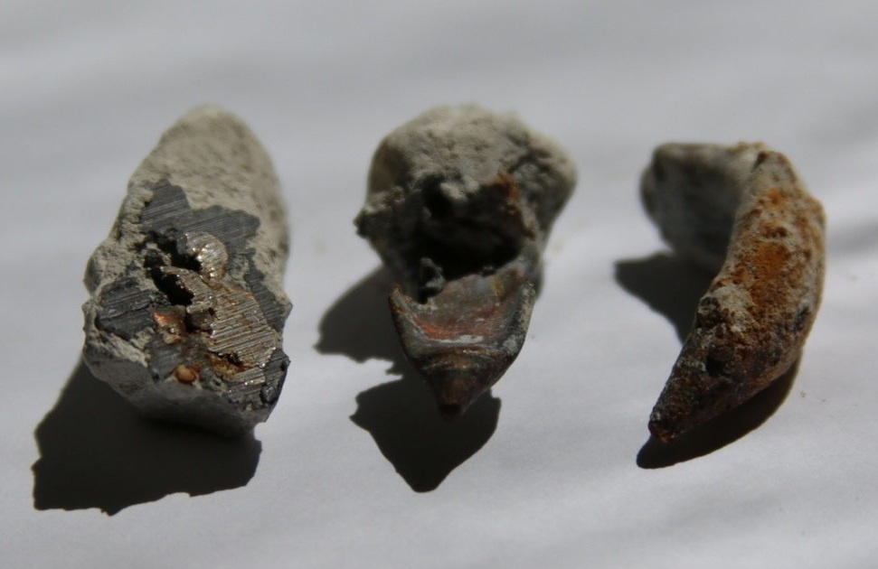 Обнаруженные артефакты. (Фото: sun9-63.userapi.com).