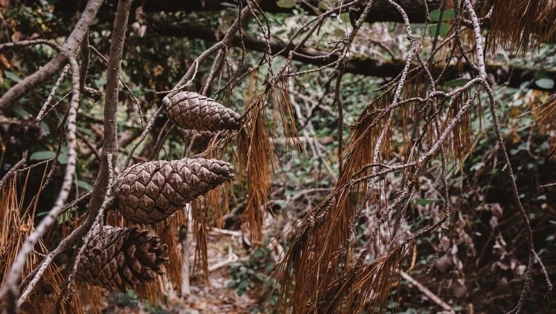     Фото: @freepik / ru.freepik.com