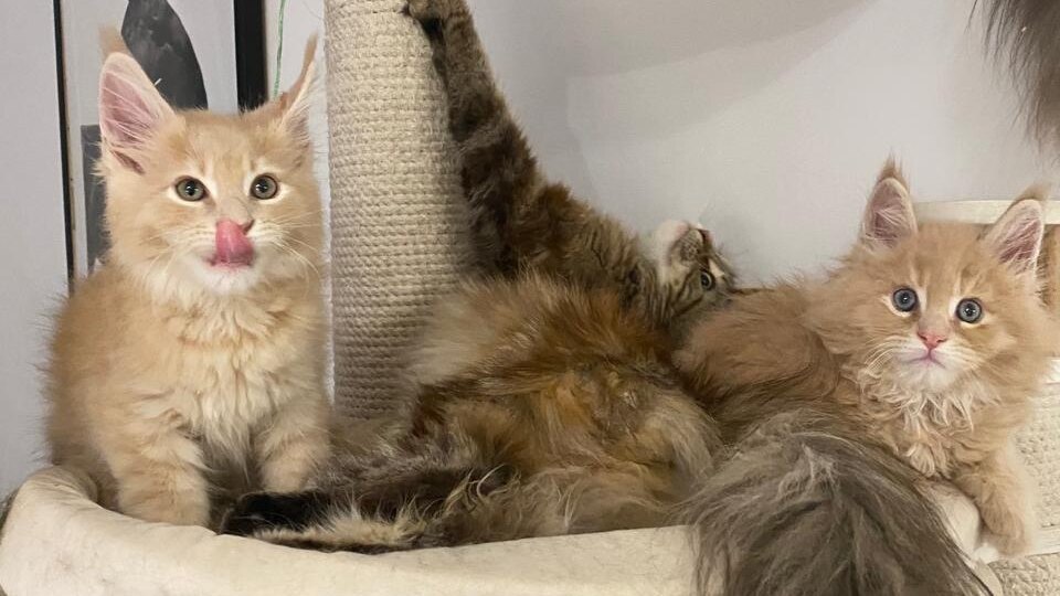 Отбор по здоровью. А что это?