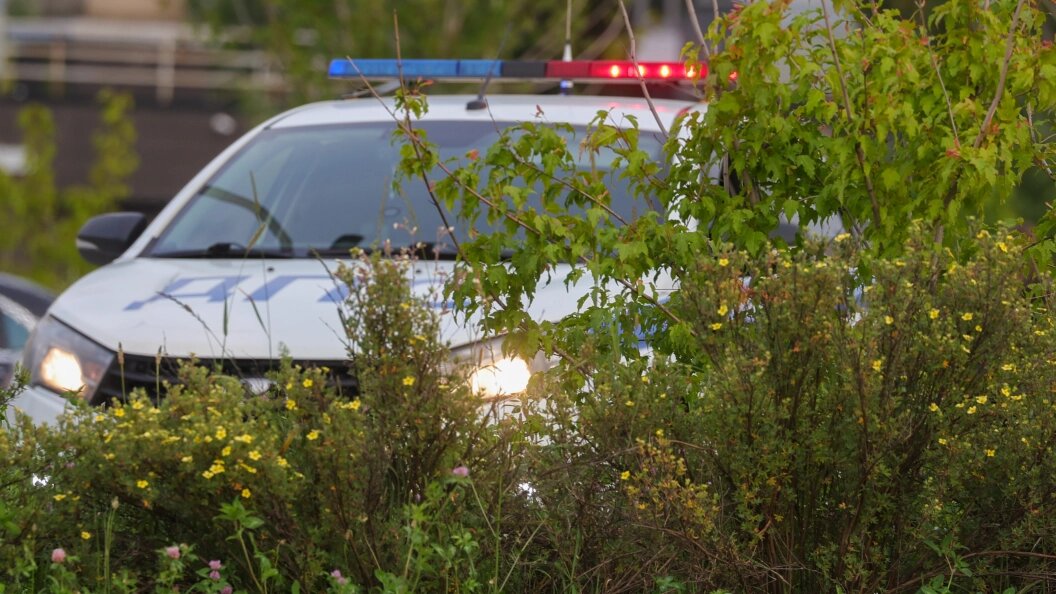    Фото: Shatokhina Natalia/Globallookpress