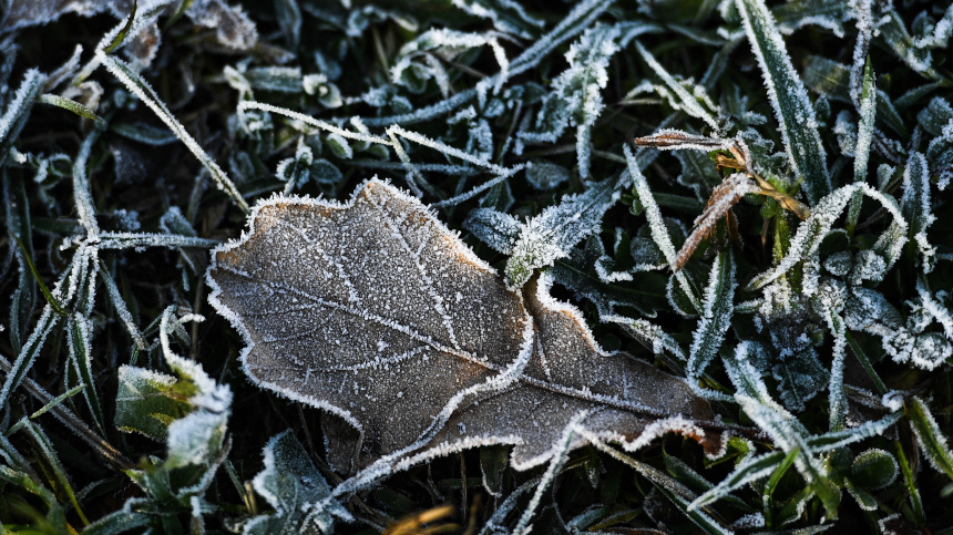    Фото: © РИА Новости/Владимир Астапкович