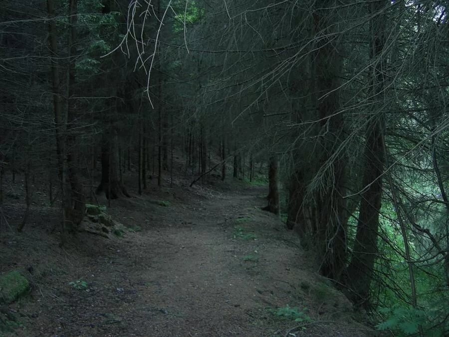 Картинка из интернета 