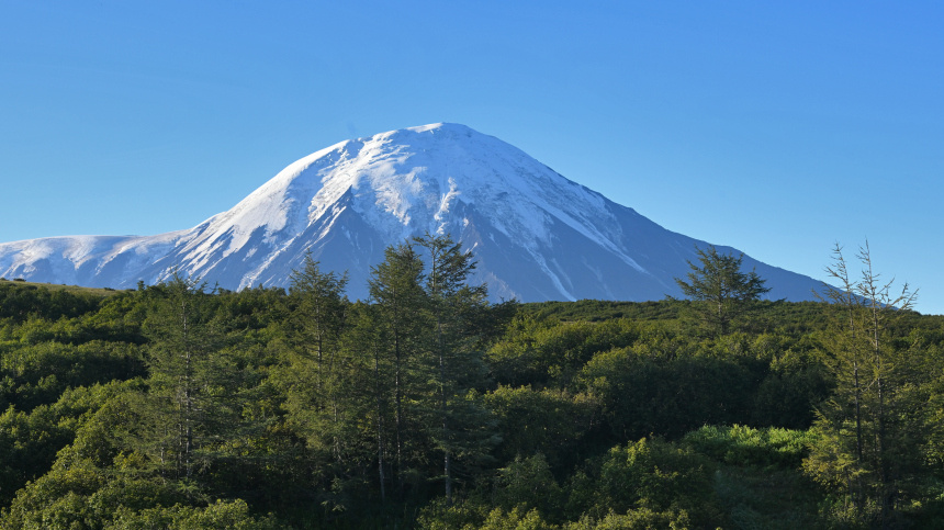    Фото: © РИА Новости/Михаил Воскресенский
