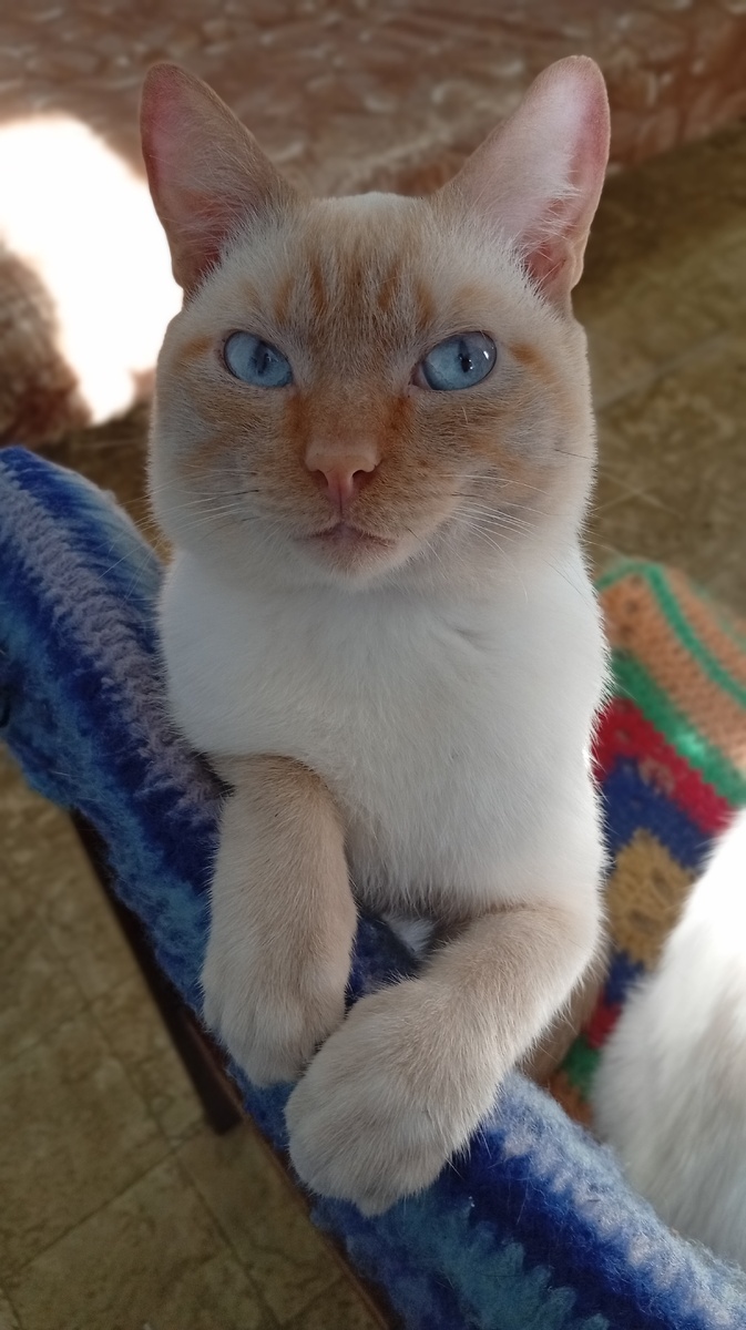 Фото из личного архива