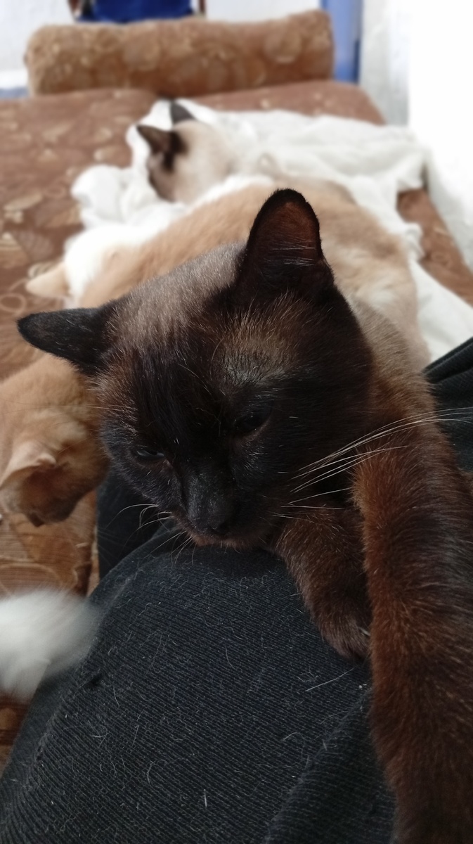 Фото из личного архива