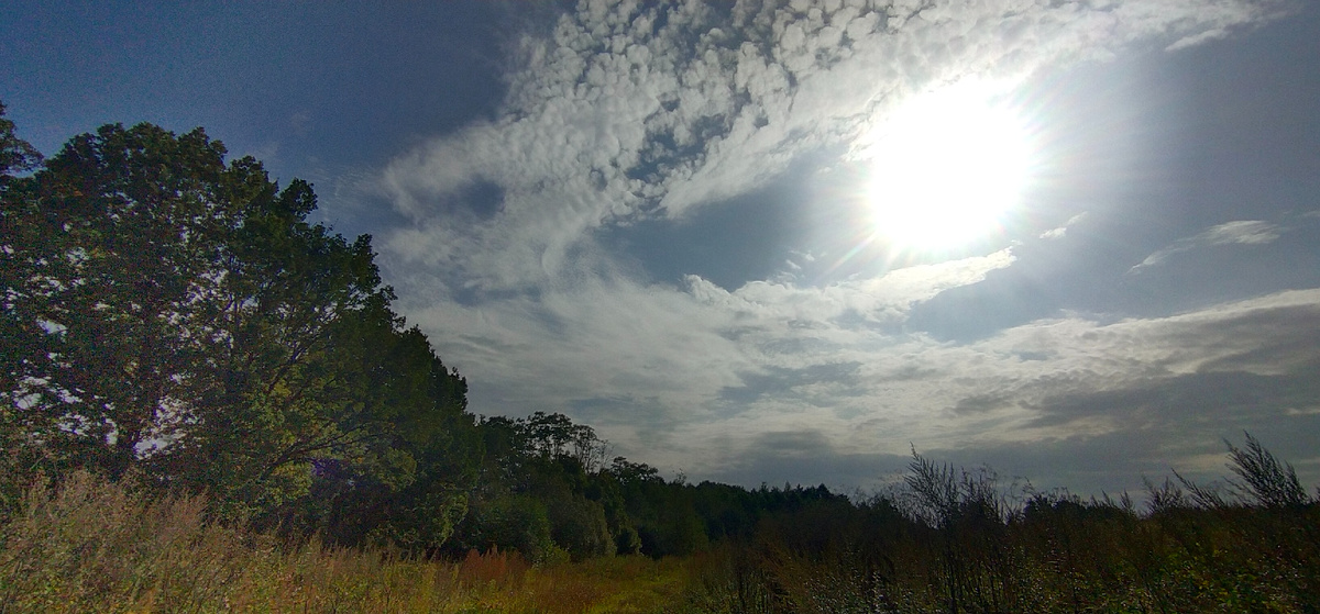 Личное фото