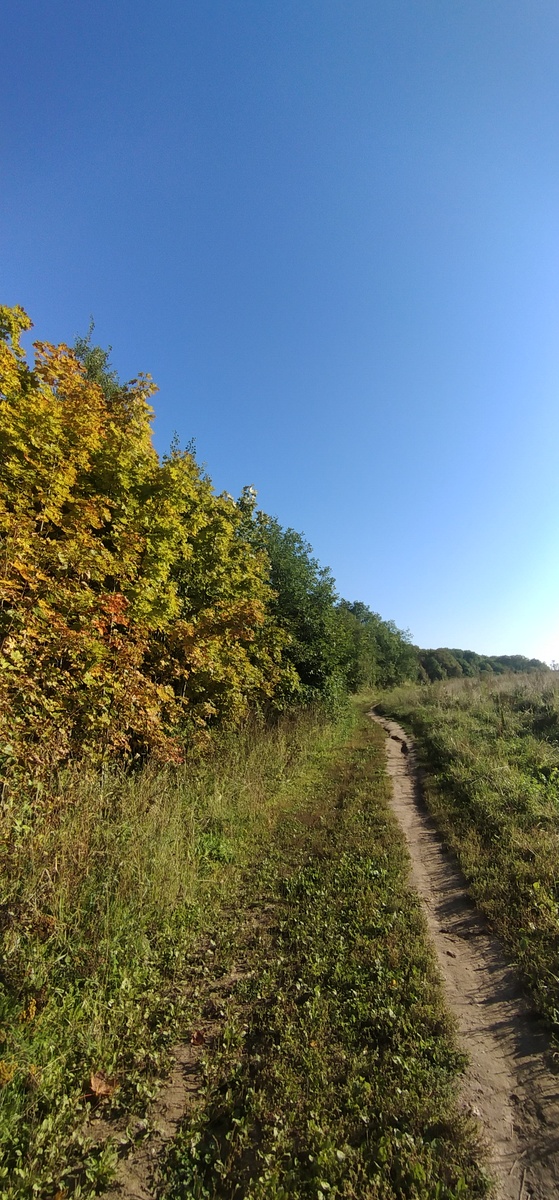 Личное фото