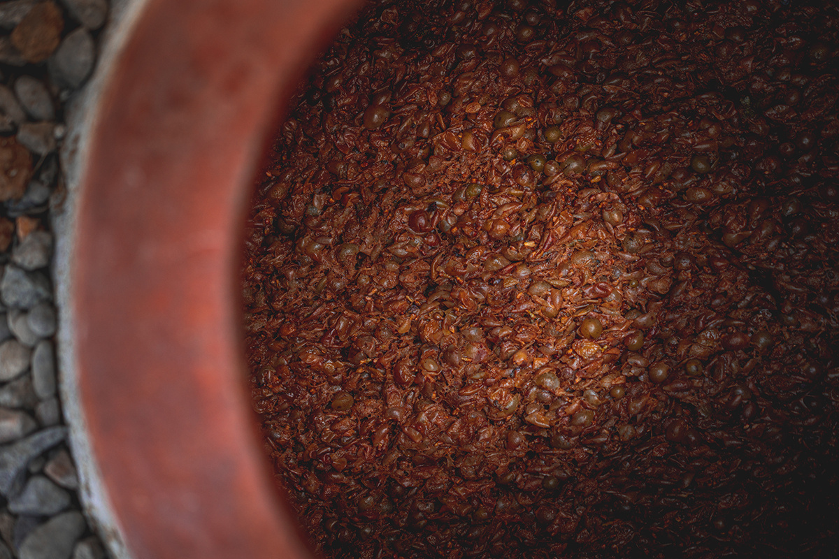 Victoria Tori Dim / Shutterstock / FOTODOM📷Для граппы используют именно виноградный жмых, который остается после производства вина