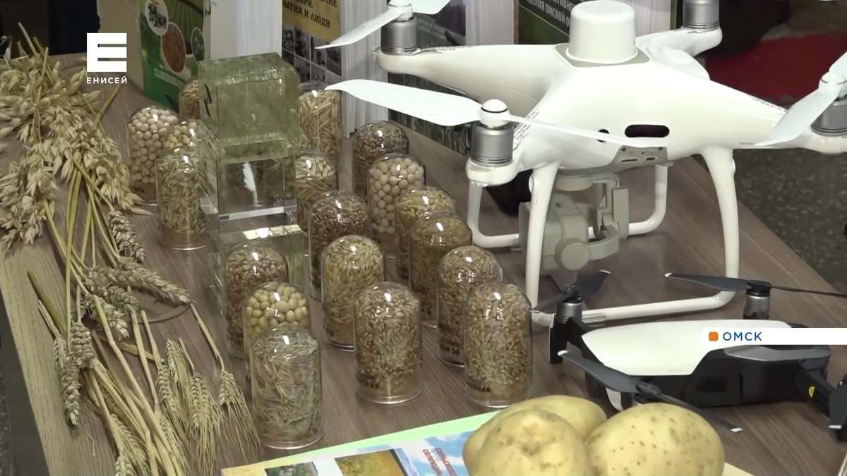     Сибирским регионам нужно увеличить производство и экспорт зерна