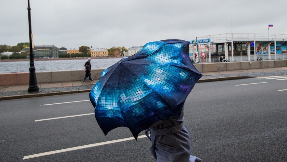    Автор фото: Сергей Ермохин / "ДП"