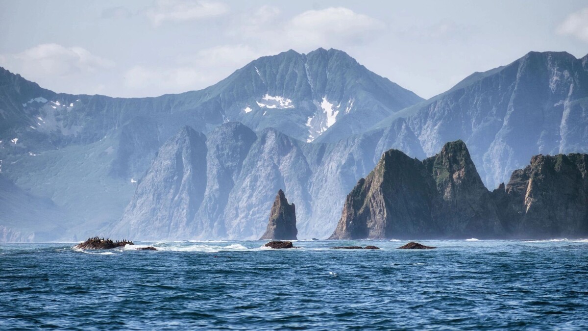    Фото: Egoreichenkov Evgenii/Shutterstock/Fotodom