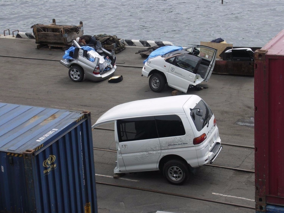 Митсубиси Делика. "Распил"