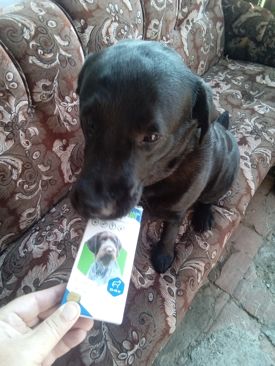 Фото автора.