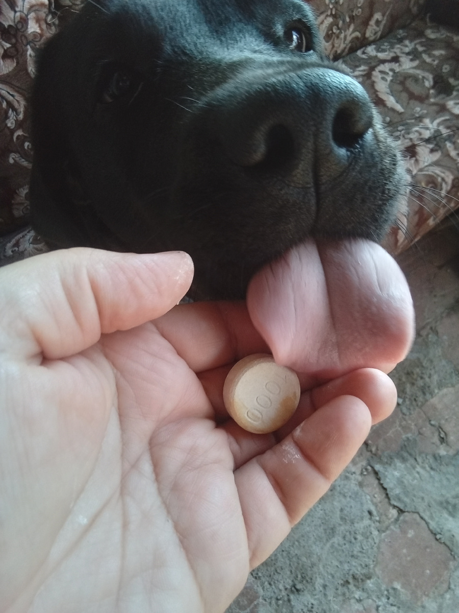 Фото автора.