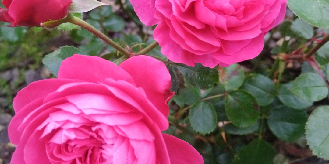 Прекрасное утро субботы!Доброе утро!