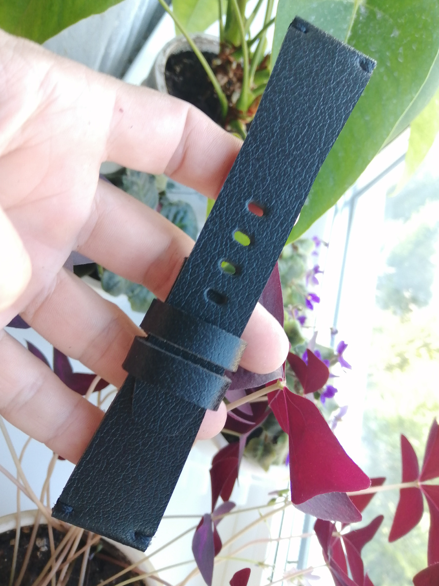 Фотографии автора 