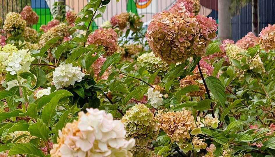 Прогулка по Парку Облаков в Парке Галицкого, Краснодар 🌤