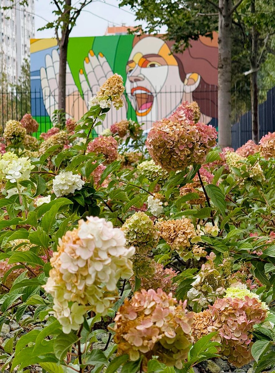 Парк Облаков в Парке Галицкого. Парковка