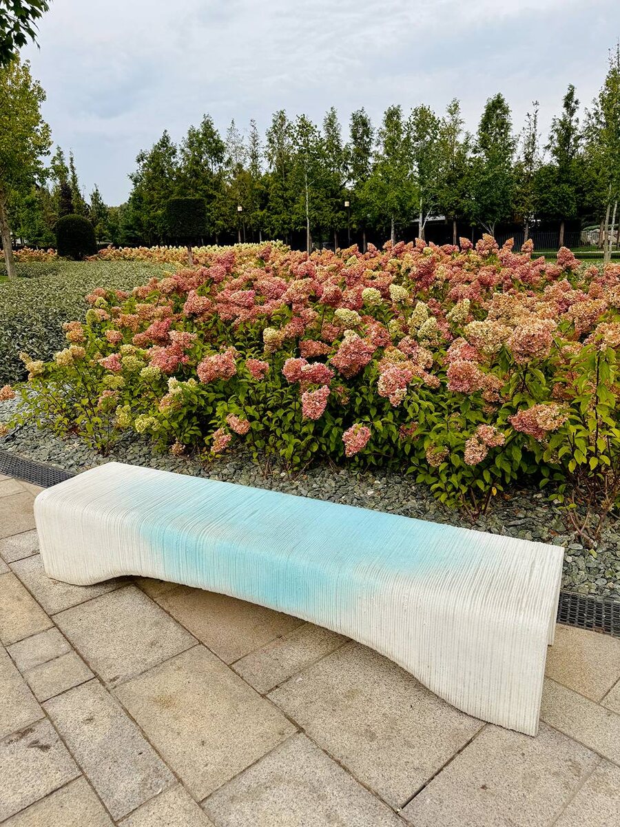 Парк Облаков в Парке Галицкого