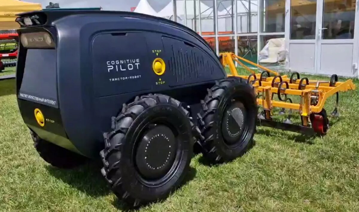 Источник фото: Когнитив Пилот