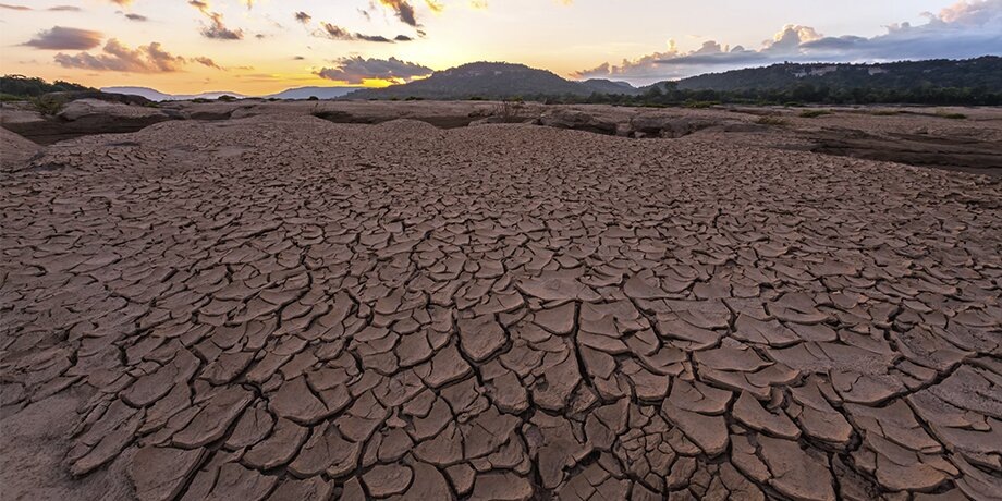    Фото: 123RF/pittawut