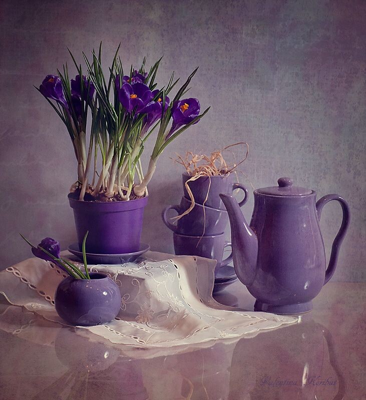 Картинка найдена на просторах интернета, ссылка https://yandex.ru/images/search?from=tabbar&img_url=https%3A%2F%2Fi.pinimg.com%2Foriginals%2Fa8%2F34%2F3f%2Fa8343f8192879b5e7bd53274cf0591a19.jpg&lr=47&pos=15&rpt=simage&text=%D1%86%D0%B2%D0%B5%D1%82%D1%8B%20%D0%BA%D1%80%D1%83%D0%BF%D0%BD%D0%BE%20%D1%84%D0%BE%D1%82%D0%BE