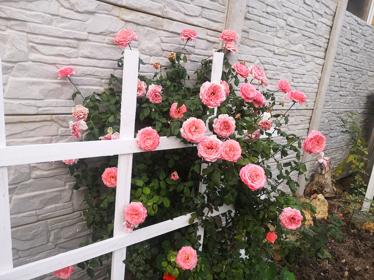 30 сентября 2024 год