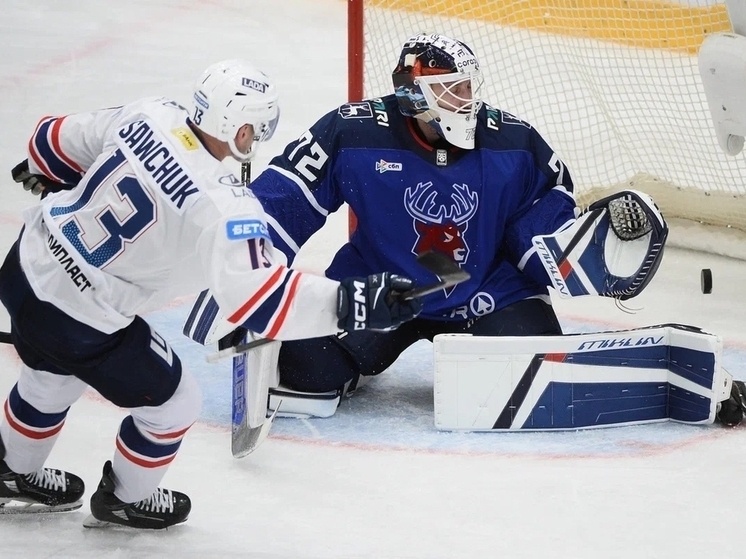     Фото: соцсети ХК «Лада»