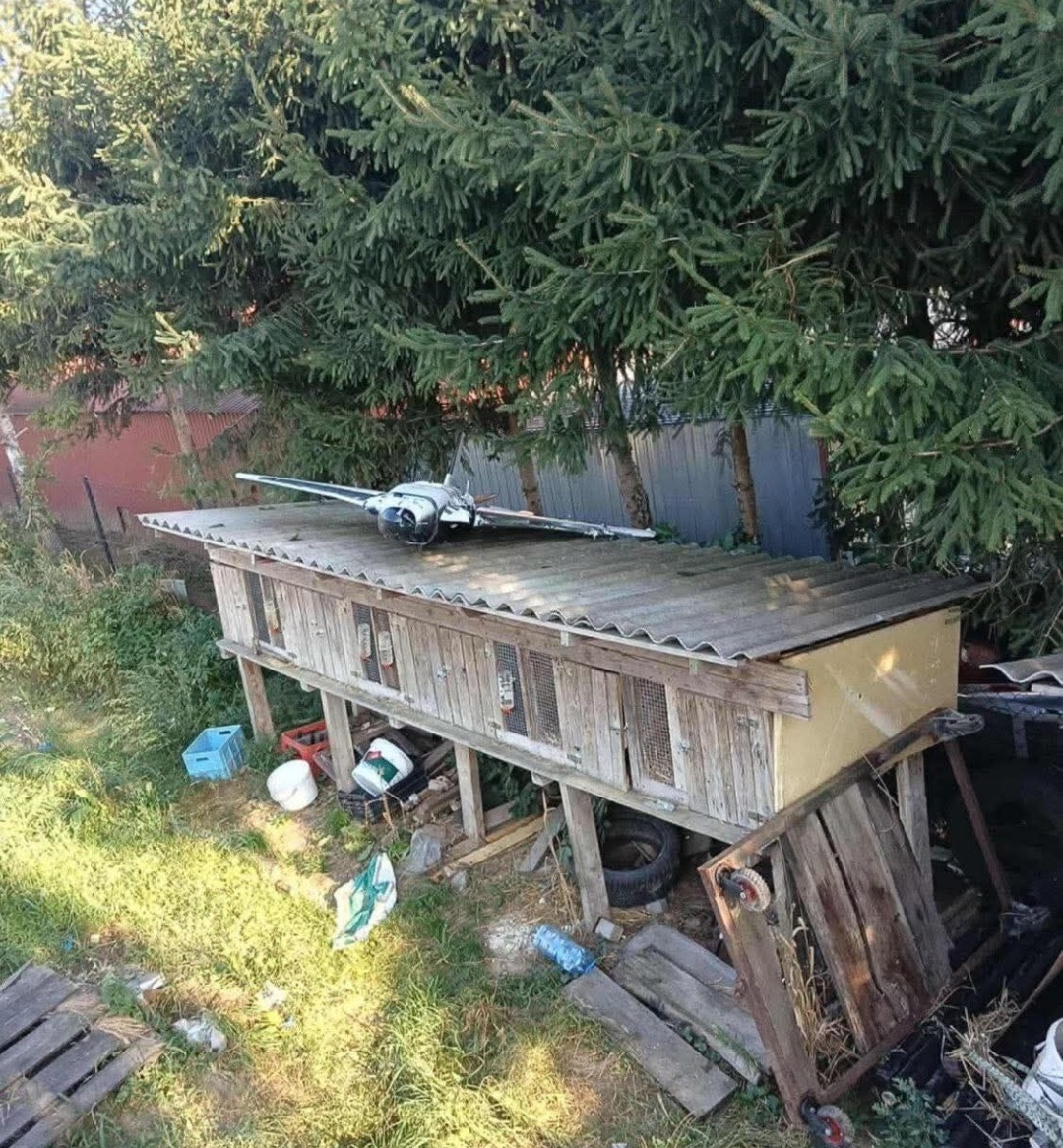 Шифер клетки цел, дрон приземлился включив антиправительственных? 