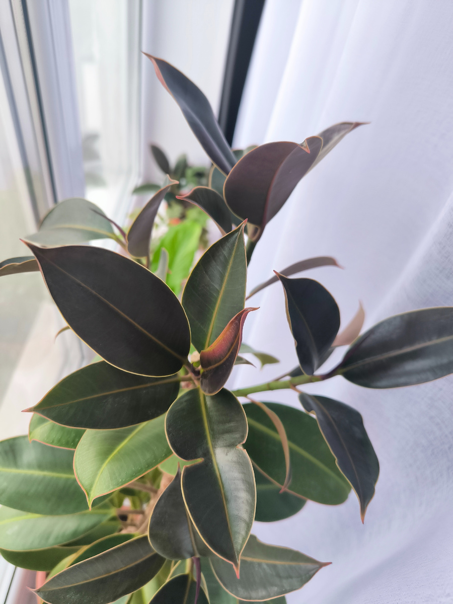 Фотографии в статье авторские