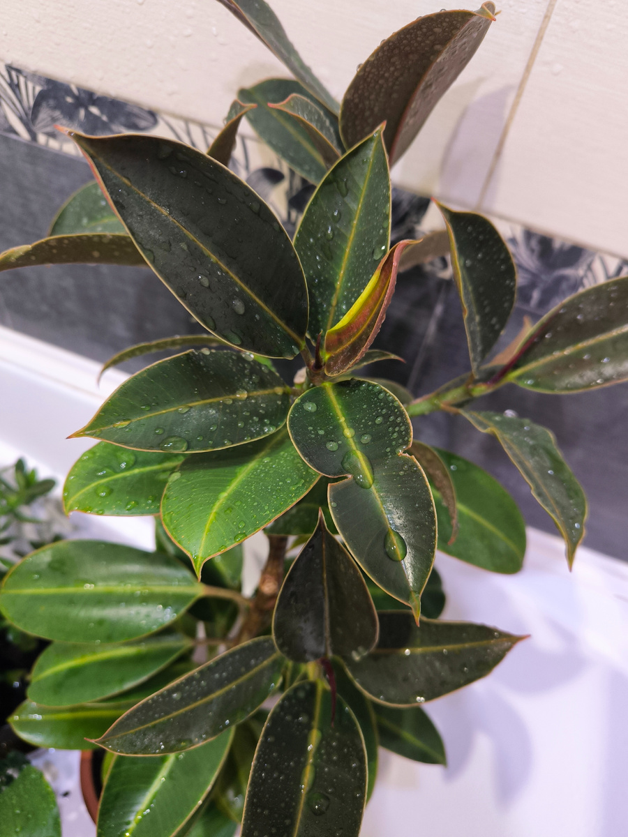 Все фотографии в статье авторские