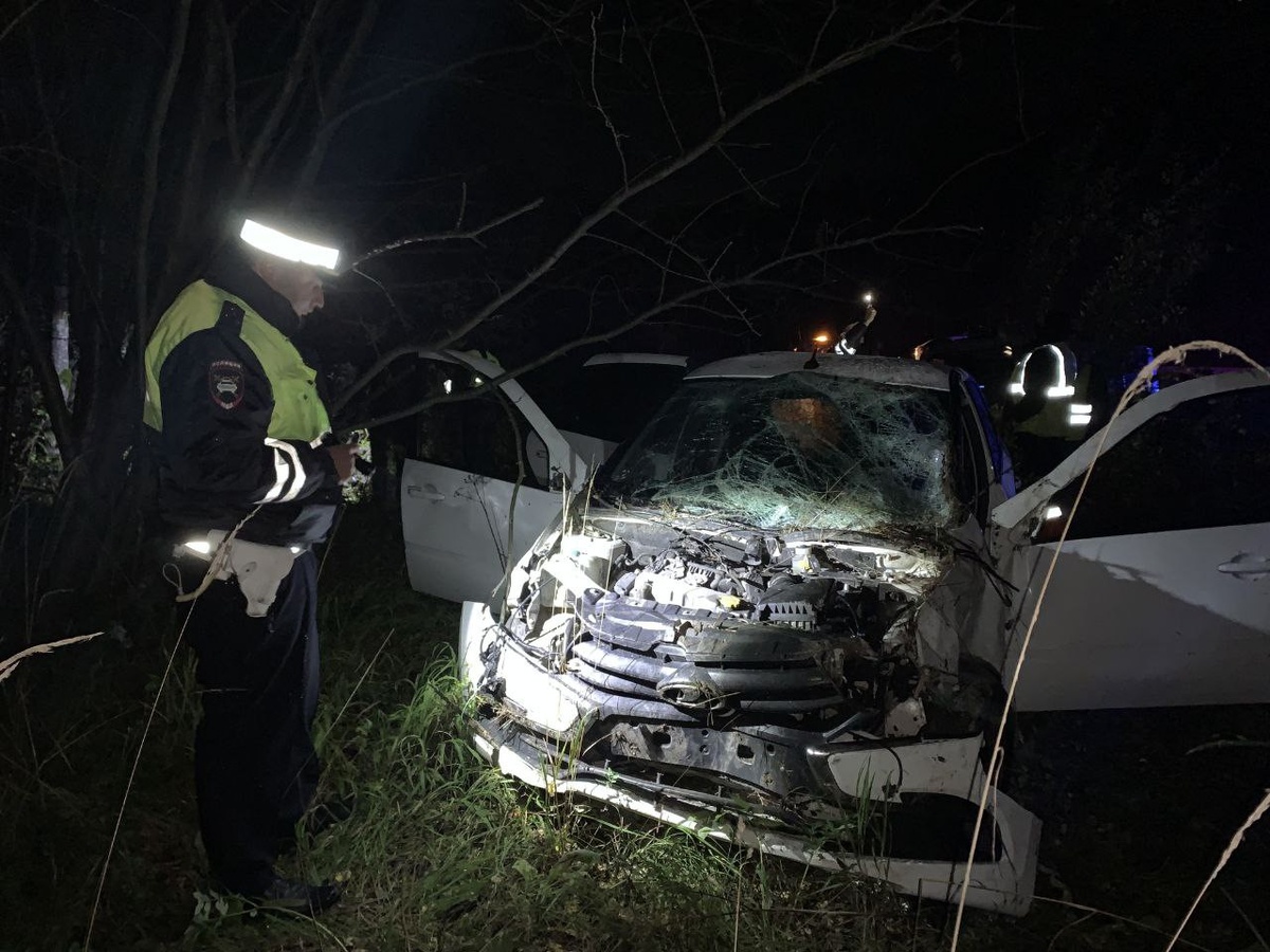     Фото: Госавтоинспекция Свердловской области