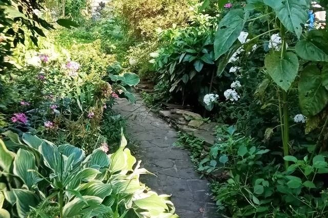    Как подготовить шесть соток и дачный дом к зиме?