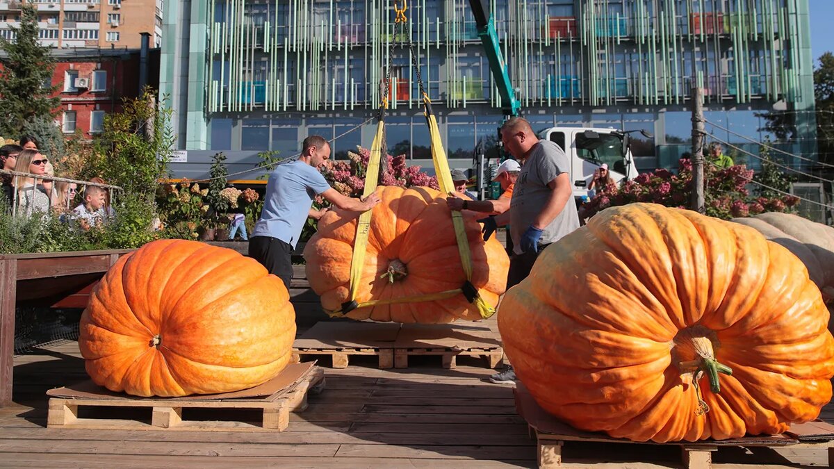   Василий Кузьмичёнок / Агентство «Москва»- Архивное фото