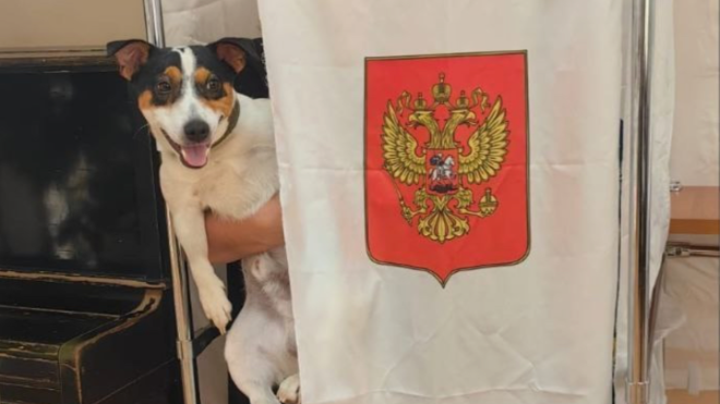 Фото: Комитет по животному миру Ленинградской области, Команда 47
