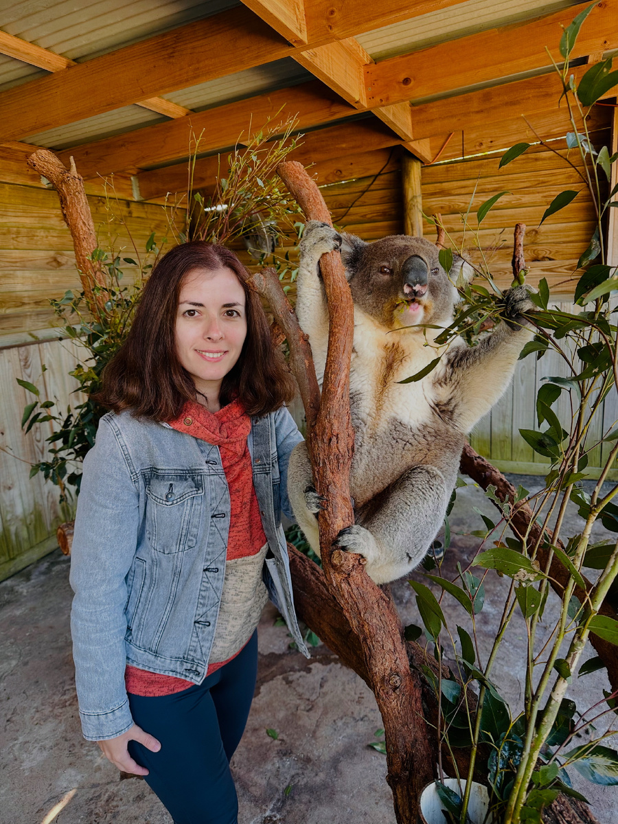 Да, это коала😅