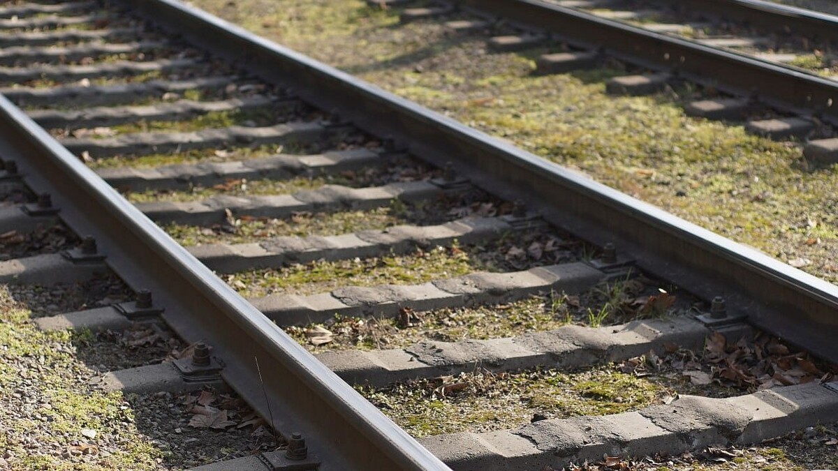    Фото: телеканал «Краснодар»