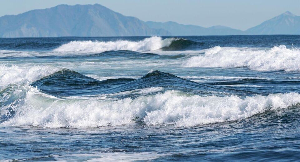    РИА «Новости»