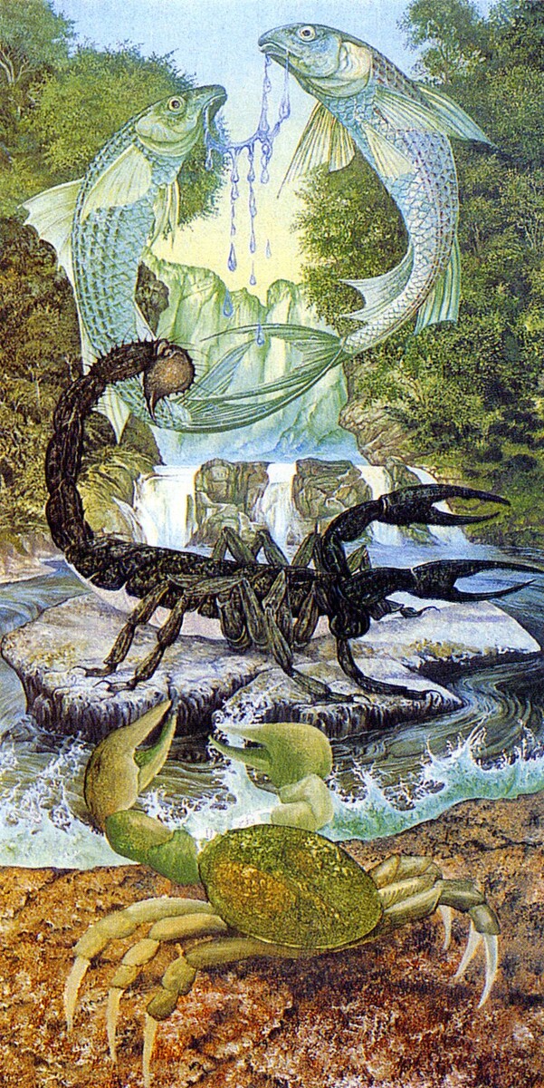 Стихия воды и водные знаки зодиака - Рак, Скорпион, Рыбы